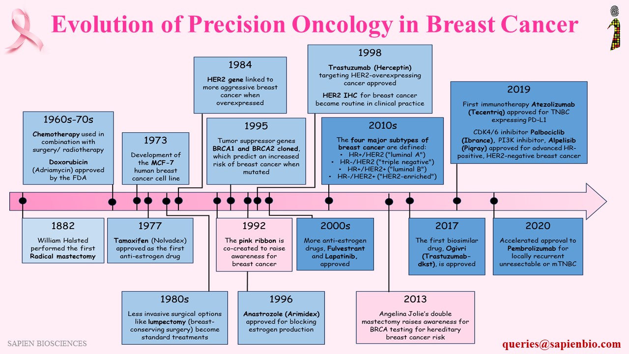 Timeline Of Precision Medicine In Breast Cancer Sapien Biosciences