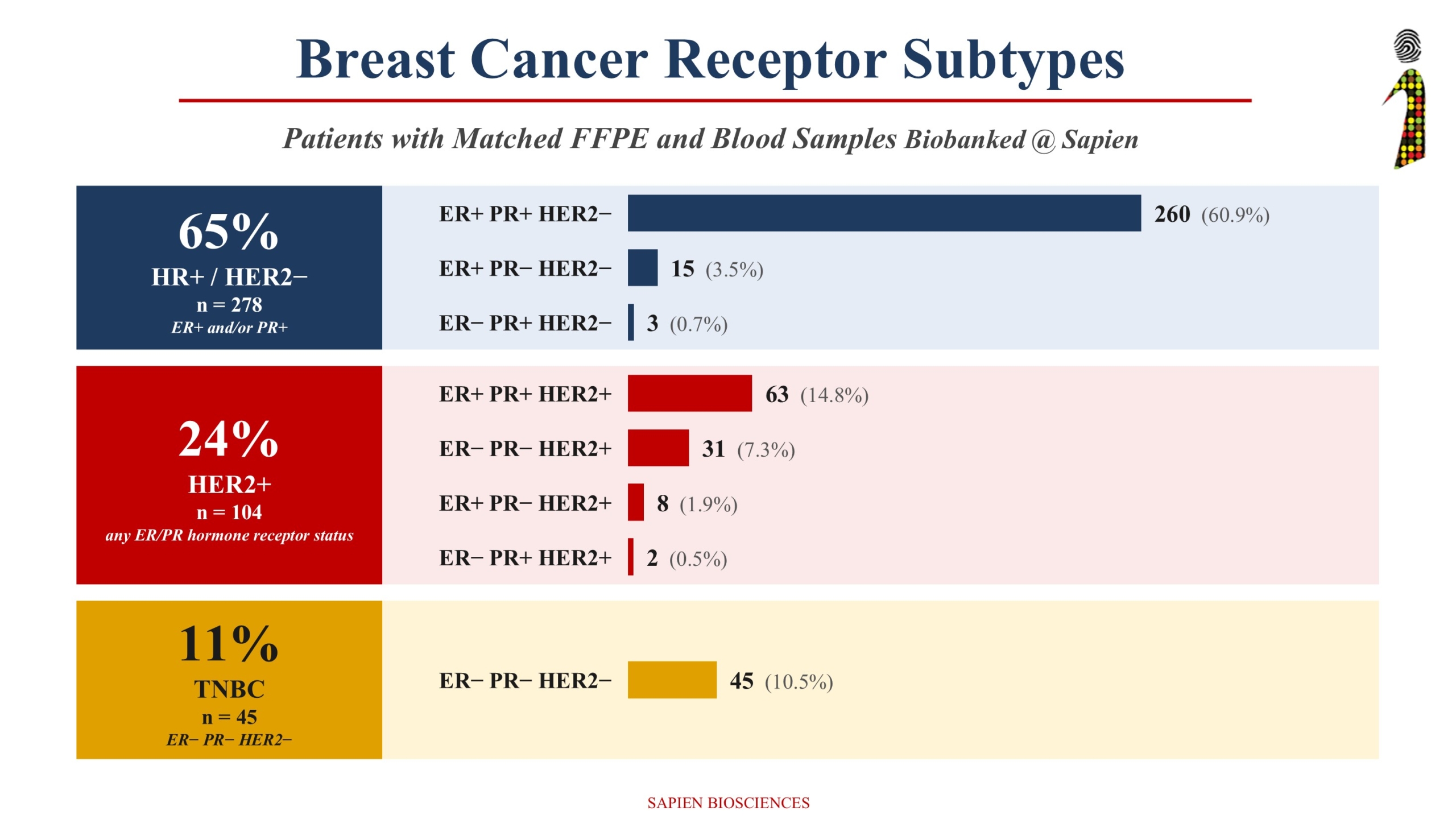 Breast cancer receptor subtypes
